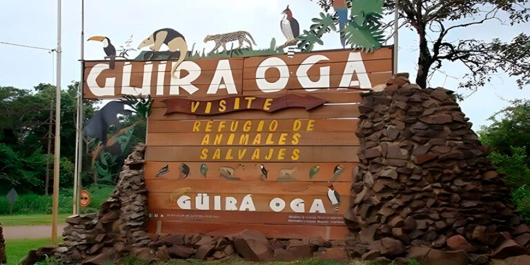 Guira-oga