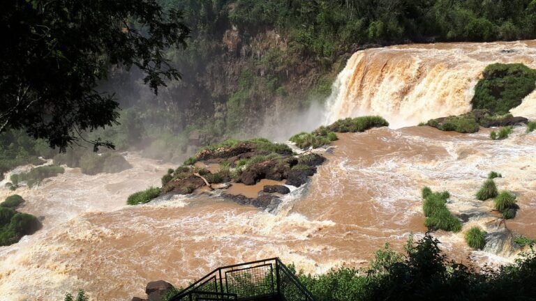 Saltos del Monday
